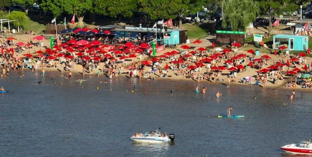 Más de 30 personas sufrieron ataques de palometas en Santa Fe