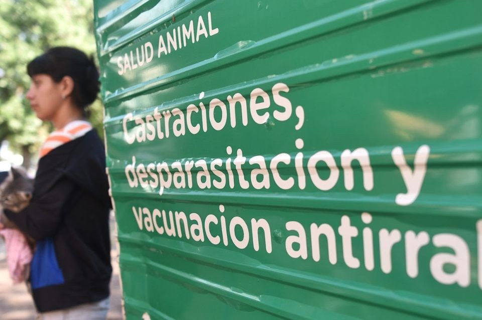 Campaña de castración y vacunación antirrábica llega a la vecinal Centenario