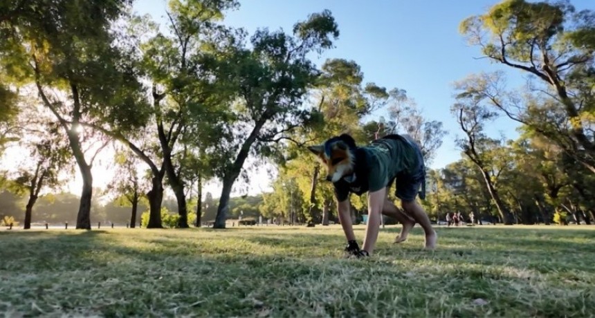Therians: qué hay detrás de los adolescentes que dicen identificarse con animales