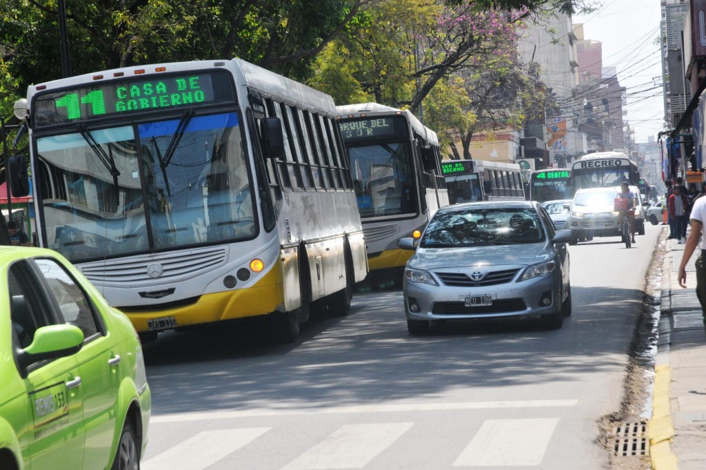 Se aprobó un proyecto para trasladar perros y gatos en el colectivo