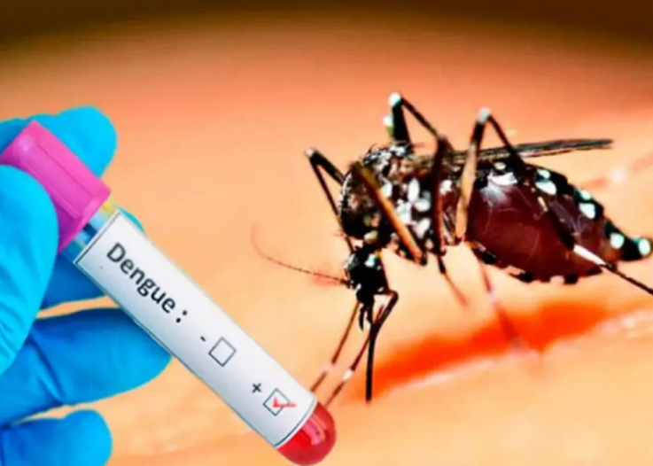 HISTÓRICO Dengue: 269 mil casos y 197 muertos desde octubre pasado