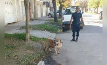 Un hombre terminó en el Cullen tras ser mordido por un perro