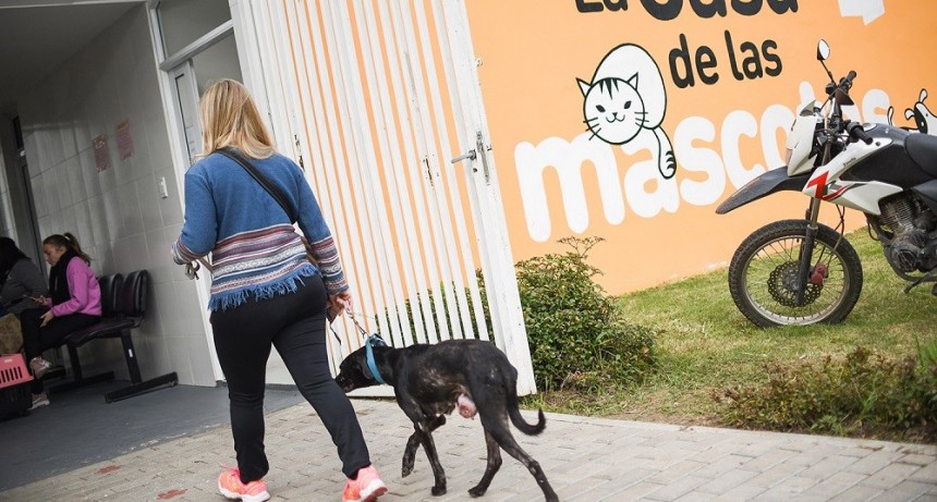 Ya hubo más de 3.200 atenciones a mascotas en el Parque Garay