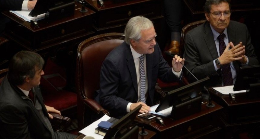 Senado: El proyecto por la despenalización del aborto será debatido en tres comisiones