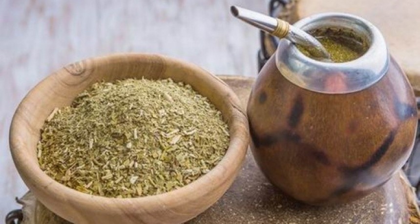 En Uruguay venderán yerba mate con cannabis