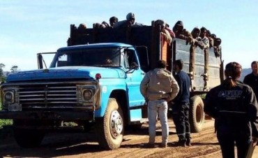 Salta: AFIP halló 94 trabajadores reducidos a servidumbre