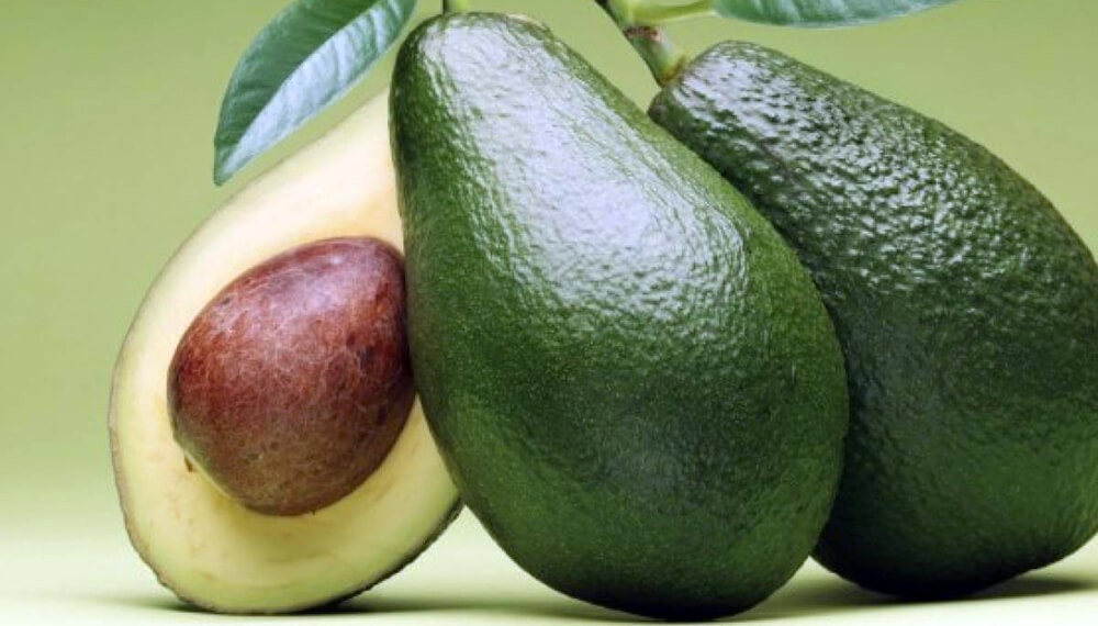 Descubren un nuevo beneficio para la salud que tendría la palta