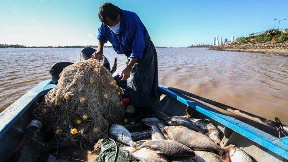El gobierno recibe a pescadores para destrabar conflicto por la veda