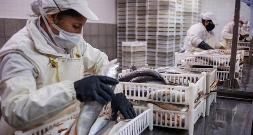 Suspenden por un año la exportación de pescado en Santa Fe