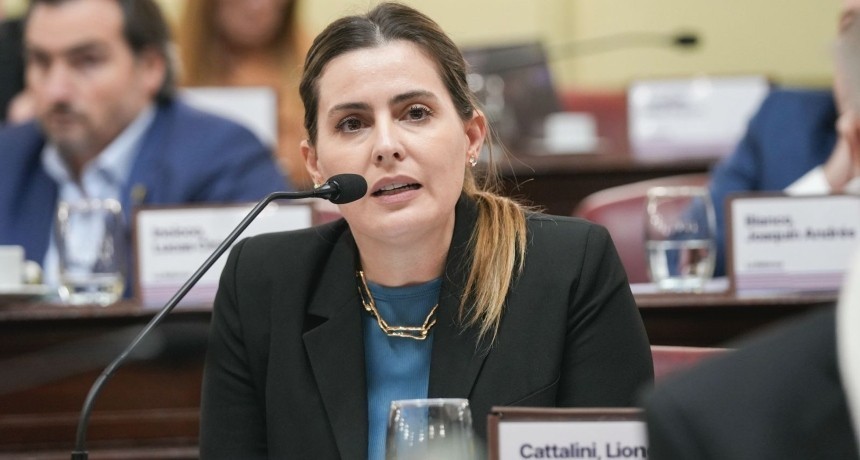 Cattalini pidió celeridad al Consejo de la Magistratura en el caso del Juez Salmain