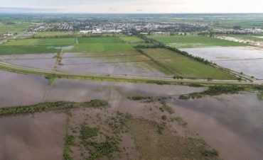 Estiman que las p&eacute;rdidas del sector agr&iacute;cola superan los 1.000 millones de d&oacute;lares