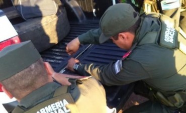 Incautan m&aacute;s de 80 kilos de marihuana que viajaba hacia Santa Fe