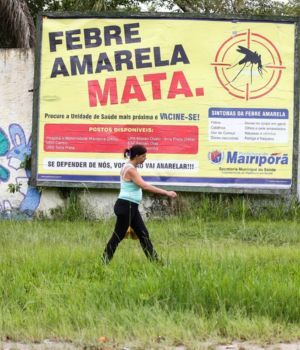 P&aacute;nico en Brasil por brote mortal de fiebre amarilla