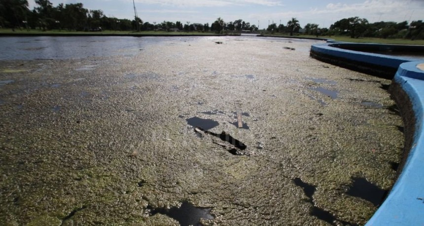 El agua del lago de Parque Sur: una descomposici&oacute;n lenta e irreversible