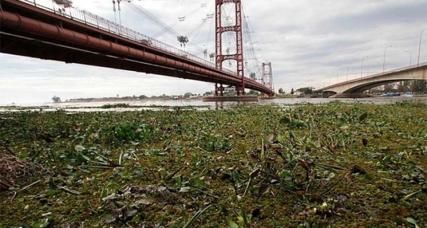 Nivel de alerta en el r&iacute;o Paran&aacute;