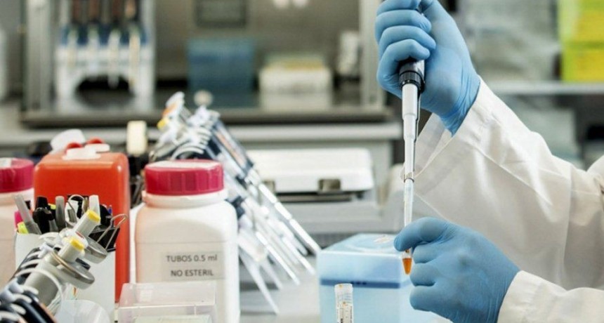 Comienza la distribuci&oacute;n del suero equino hiperinmune desarrollado en Argentina