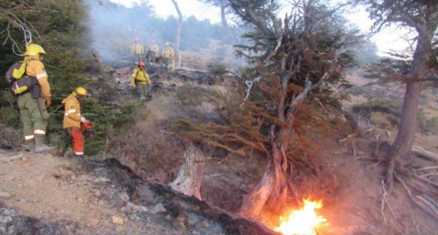 EL Bols&oacute;n: Incendio arrasa 10 mil hect&aacute;reas de bosques