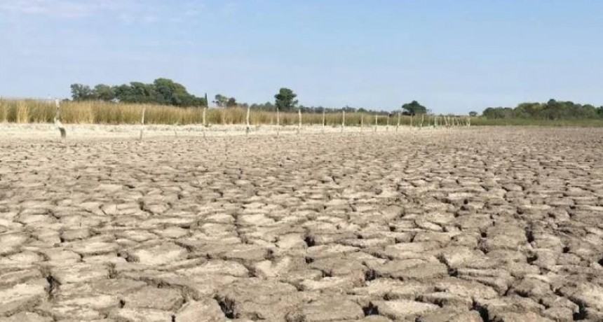 Naci&oacute;n destinar&aacute; $1.300 millones para la provincia por la sequ&iacute;a