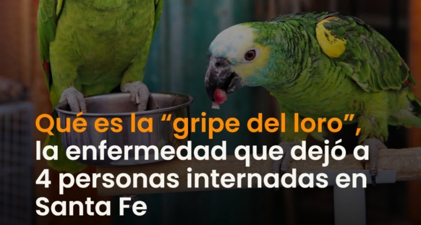 Fue dado de alta uno de los internados por la "gripe del loro" en Rafaela