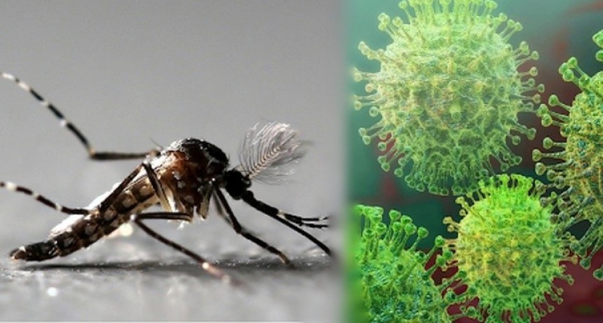 Santa Fe: confirman 124 nuevos casos de dengue y una muerte por covid