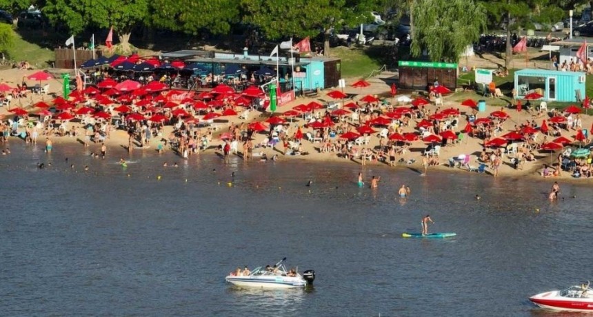 M&aacute;s de 30 personas sufrieron ataques de palometas en Santa Fe