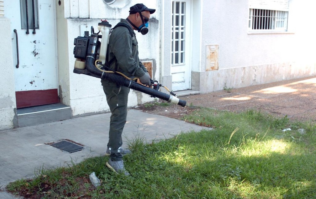 Dengue en Santa Fe: se activó protocolo y bloqueo en barrio Sur