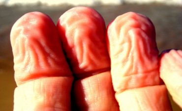 &iquest;Sab&iacute;as por qu&eacute; se arrugan los dedos bajo el agua?