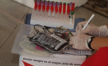 Seis mil santafesinos donaron sangre en colectas voluntarias