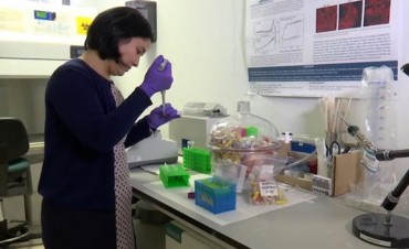 Crean un chip que detecta el VIH una semana despu&eacute;s de la infecci&oacute;n