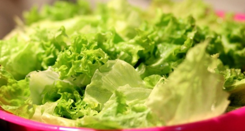El precio de la lechuga se dispar&oacute; un 400%