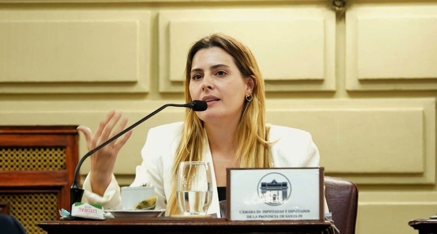 Cattalini presentó un amparo contra la designación de Lijo y García Mansilla