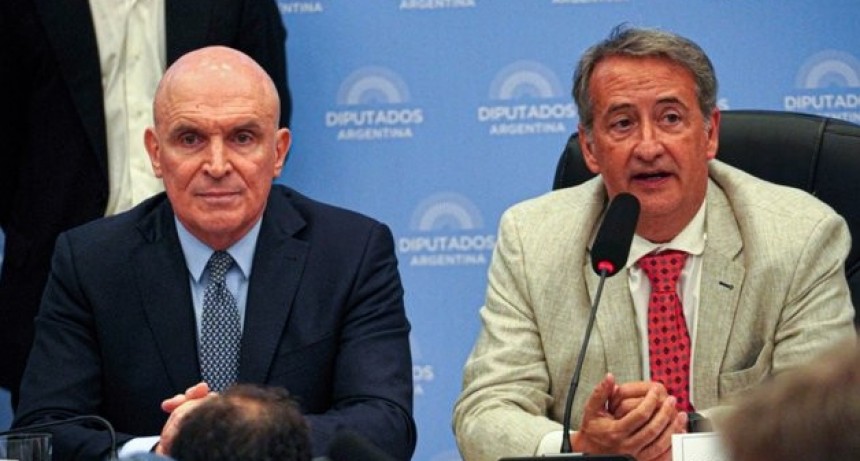 Diputados: el oficialismo logr&oacute; dictamen para suspender las PASO Nacional