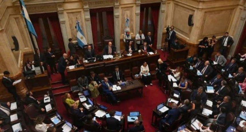 El Senado aprob&oacute; la ley que suspende las PASO para este a&ntilde;o
