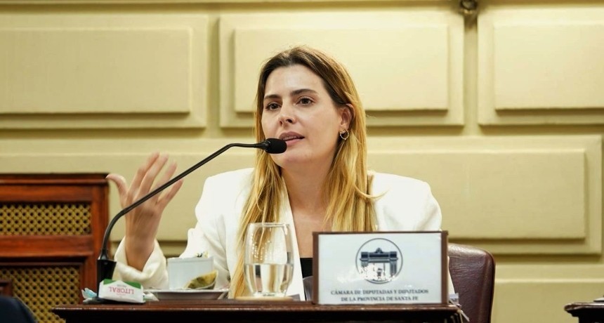 Cattalini present&oacute; un amparo contra la designaci&oacute;n de Lijo y Garc&iacute;a Mansilla