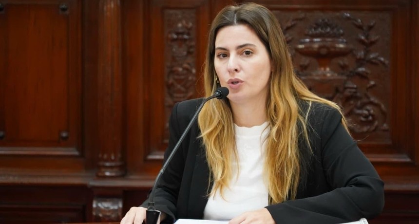 Cattalini: “la legitimidad de la corte se construye con participación ciudadana”