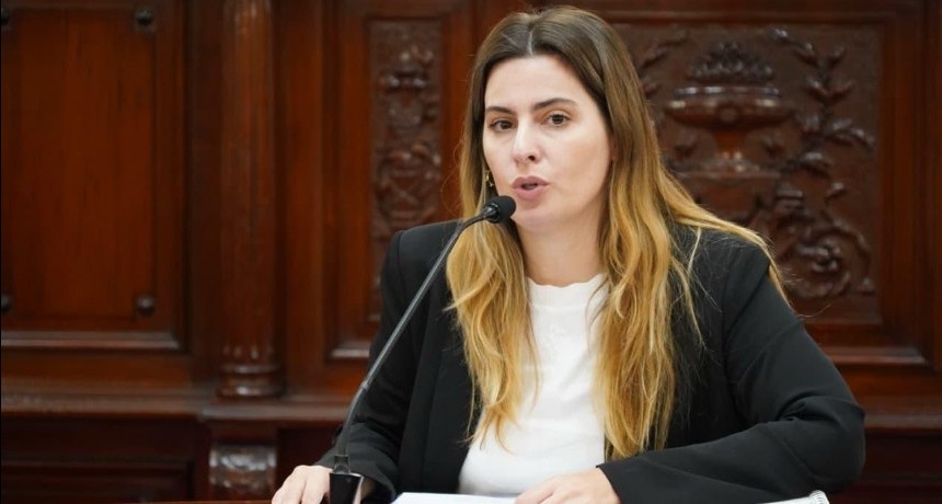 Cattalini: “la legitimidad de la corte se construye con participación ciudadana”