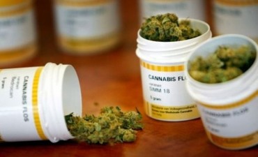 El Senado convirti&oacute; en ley el proyecto de uso medicinal y cient&iacute;fico del cannabis