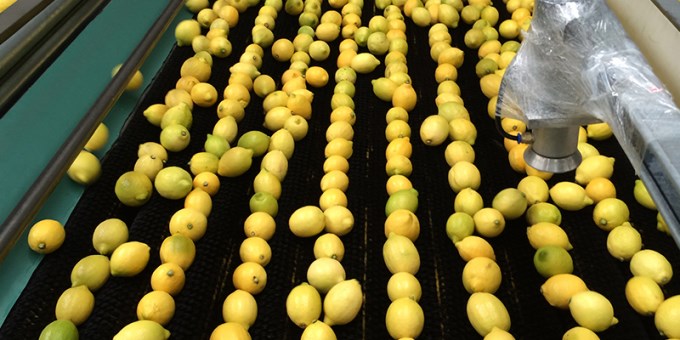Gobierno argentino, preocupado por los limones