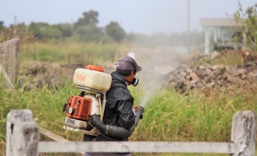 El Municipio contin&uacute;a con las tareas de fumigaci&oacute;n en la ciudad