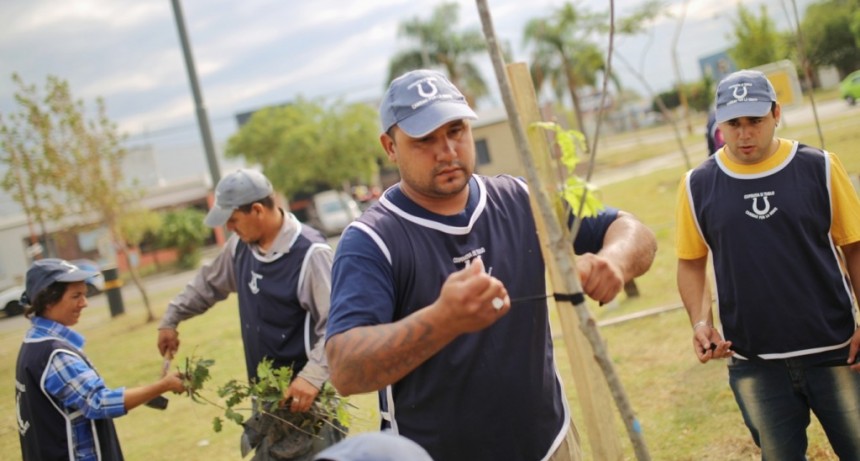 Plan de Forestaci&oacute;n: El Municipio sum&oacute; &aacute;rboles en Plaza Vanossi