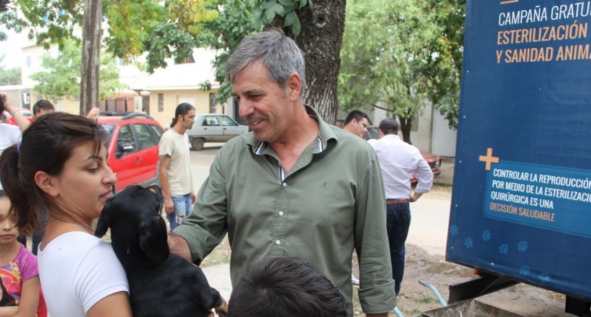Se iniciaron tareas de castraci&oacute;n gratuitas  