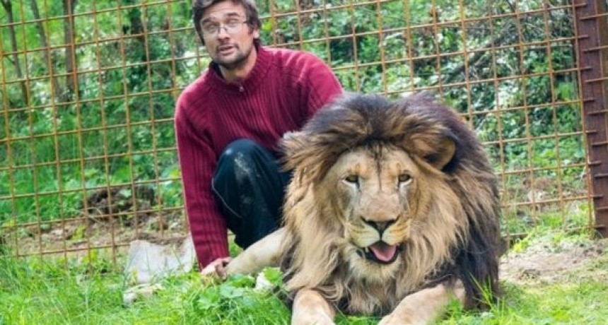 Un hombre muri&oacute; devorado por un le&oacute;n que ten&iacute;a de mascota