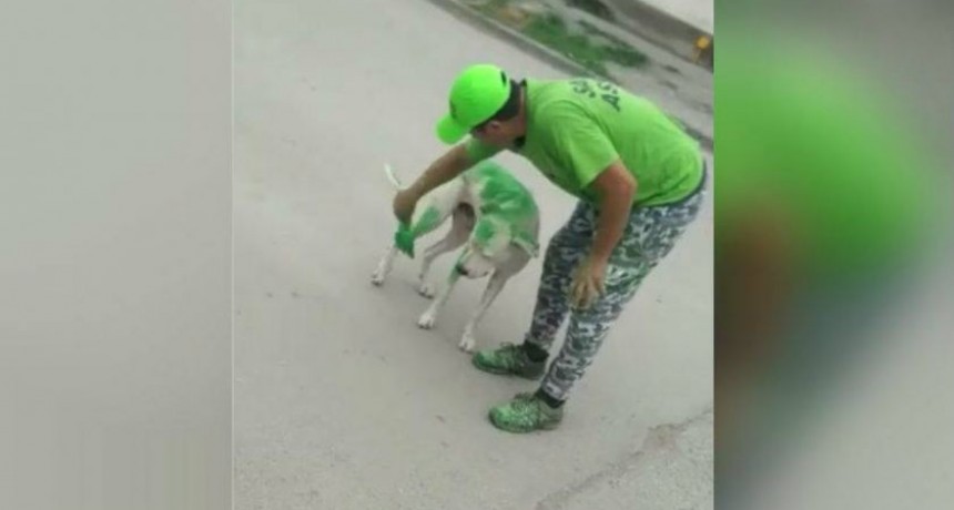 Militantes de un partido en Tucum&aacute;n pintaron a un perro de verde