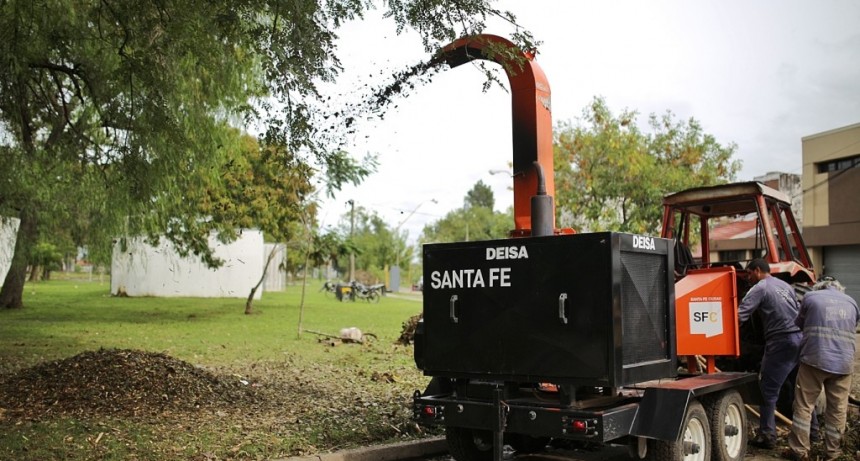 El municipio ya traslad&oacute; 1.000 toneladas de ramas y &aacute;rboles ca&iacute;dos por el temporal