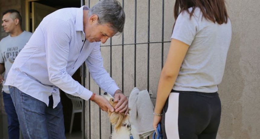 Comenz&oacute; la campa&ntilde;a de castraci&oacute;n gratuita de la Municipalidad