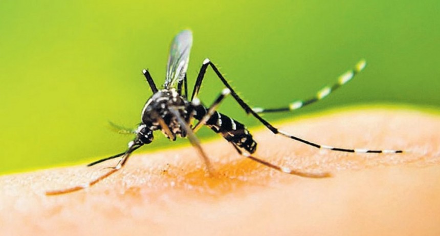 Provincias toman medidas contra el dengue