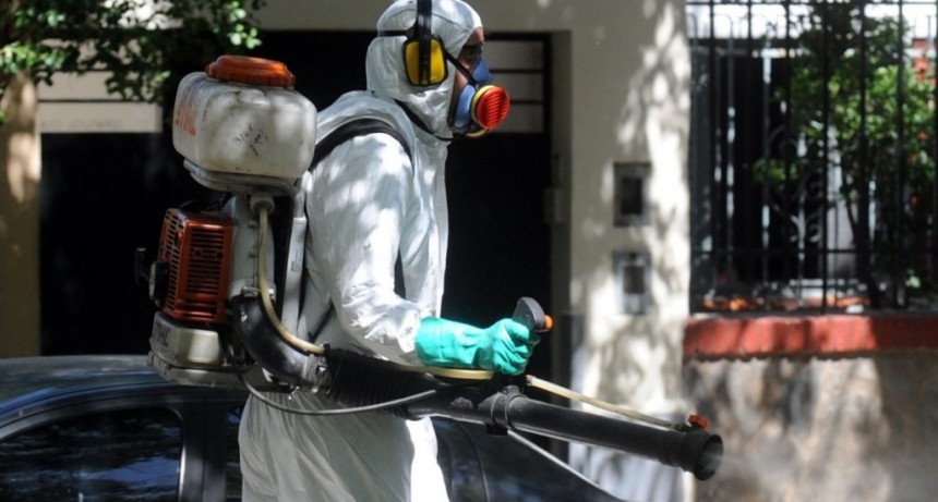 Trabajos de fumigaci&oacute;n, iluminaci&oacute;n y bacheo previstos para este martes