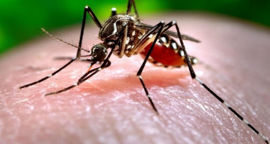 Abrieron centros de salud en Santa Fe para atender a personas con s&iacute;ntomas de dengue