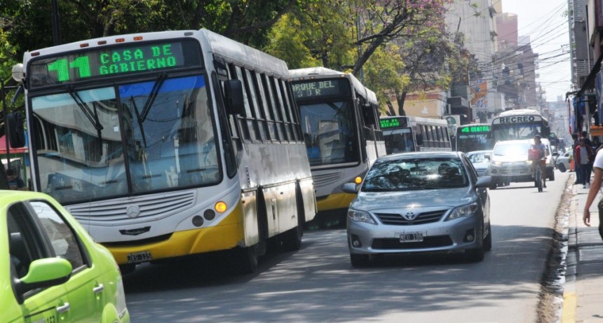 Se aprob&oacute; un proyecto para trasladar perros y gatos en el colectivo