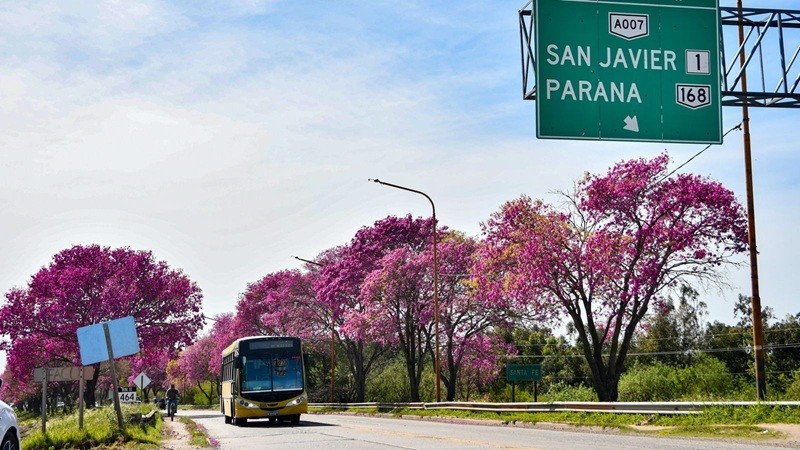 Nuevo Carretero: qued&oacute; operativo un desv&iacute;o en la mano a Santo Tom&eacute;